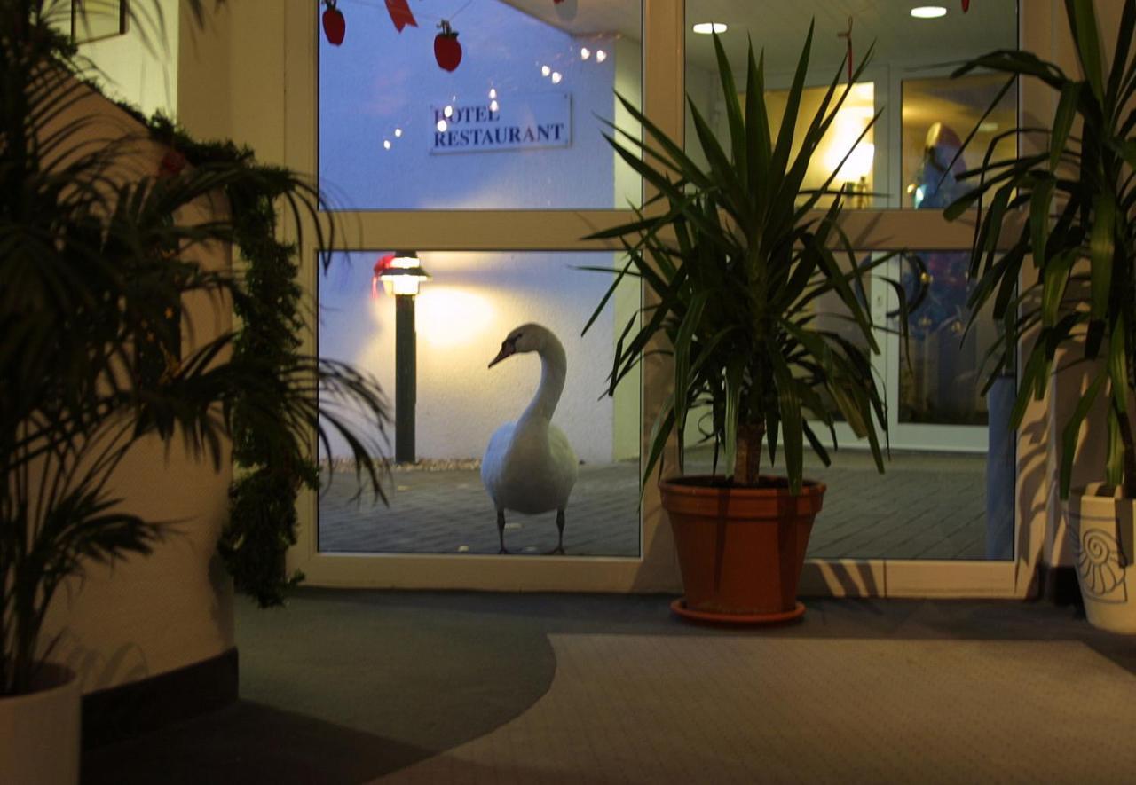 Seehotel Luisenhof Falkenhagen  Екстер'єр фото